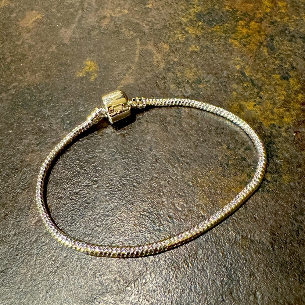 Silver Charm Bracelet